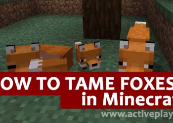 How to tame foxes in minecraft