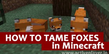 How to tame foxes in minecraft