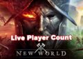 New World Live Player Count