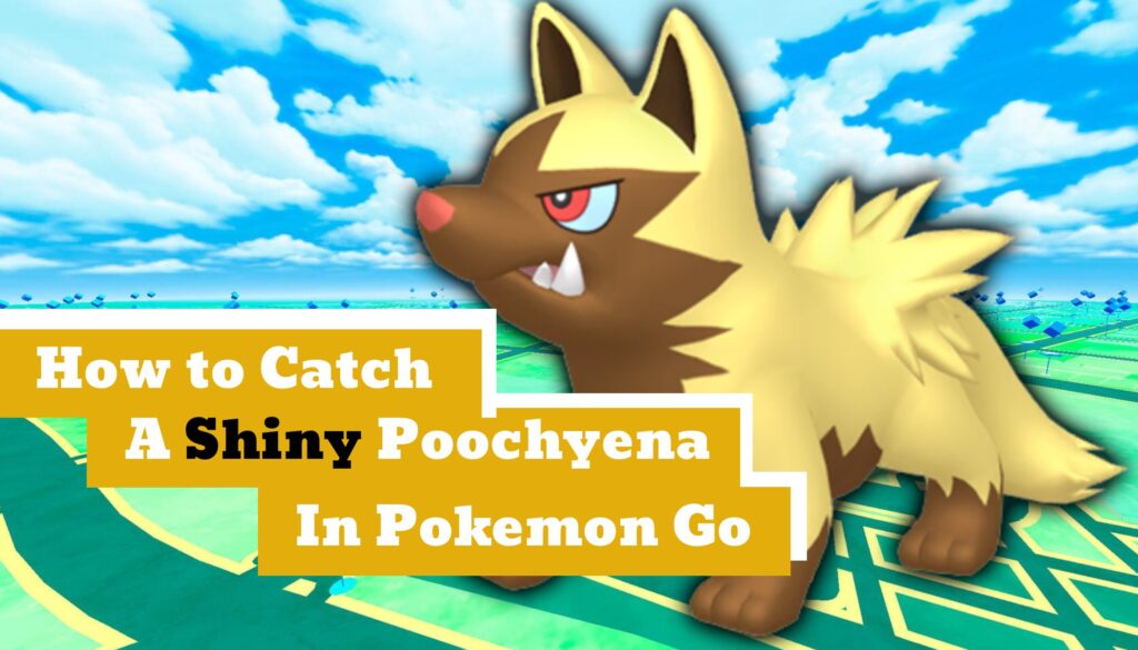 How to Catch a Shiny Poochyena