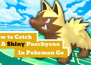 How to Catch a Shiny Poochyena