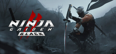 NINJA GAIDEN 2 Black Live Player Count